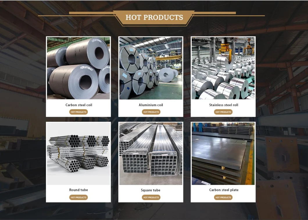 Hot Cold Rolled Carbon/Alloy/Color Coated/Zinc Coated/ Strip/Aluminium Steel Sheet Dx51d 304 235 6061 Gl Al Gi Steel Plate